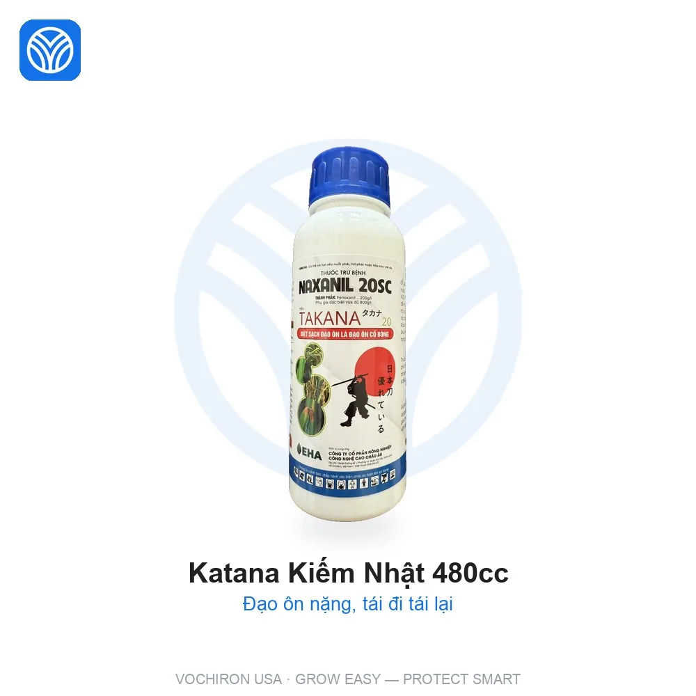 EHA- Katana kiếm nhật bản 480cc đạo ôn