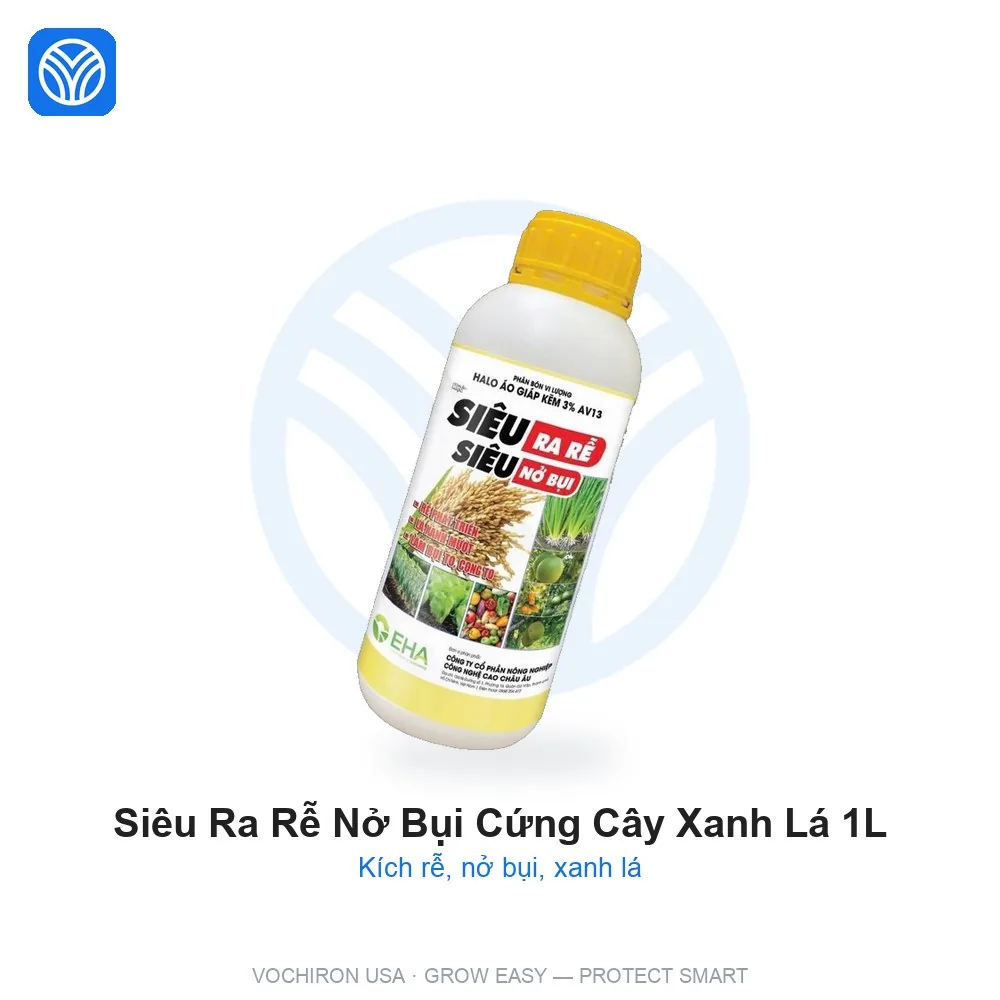 EHA Siêu ra rể nở bụi cứng cây xanh lá 1 lít