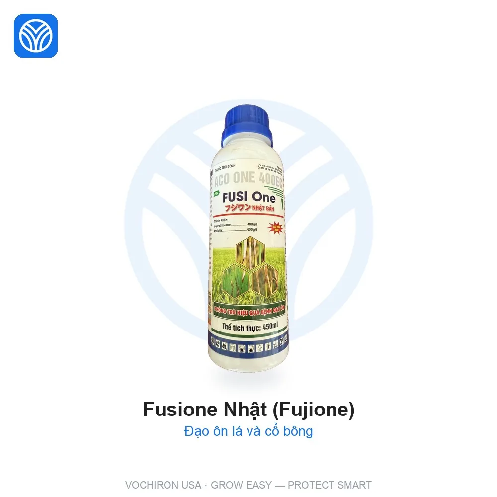 EHA FUSIONE NHẬT FUJIONE đạo ôn